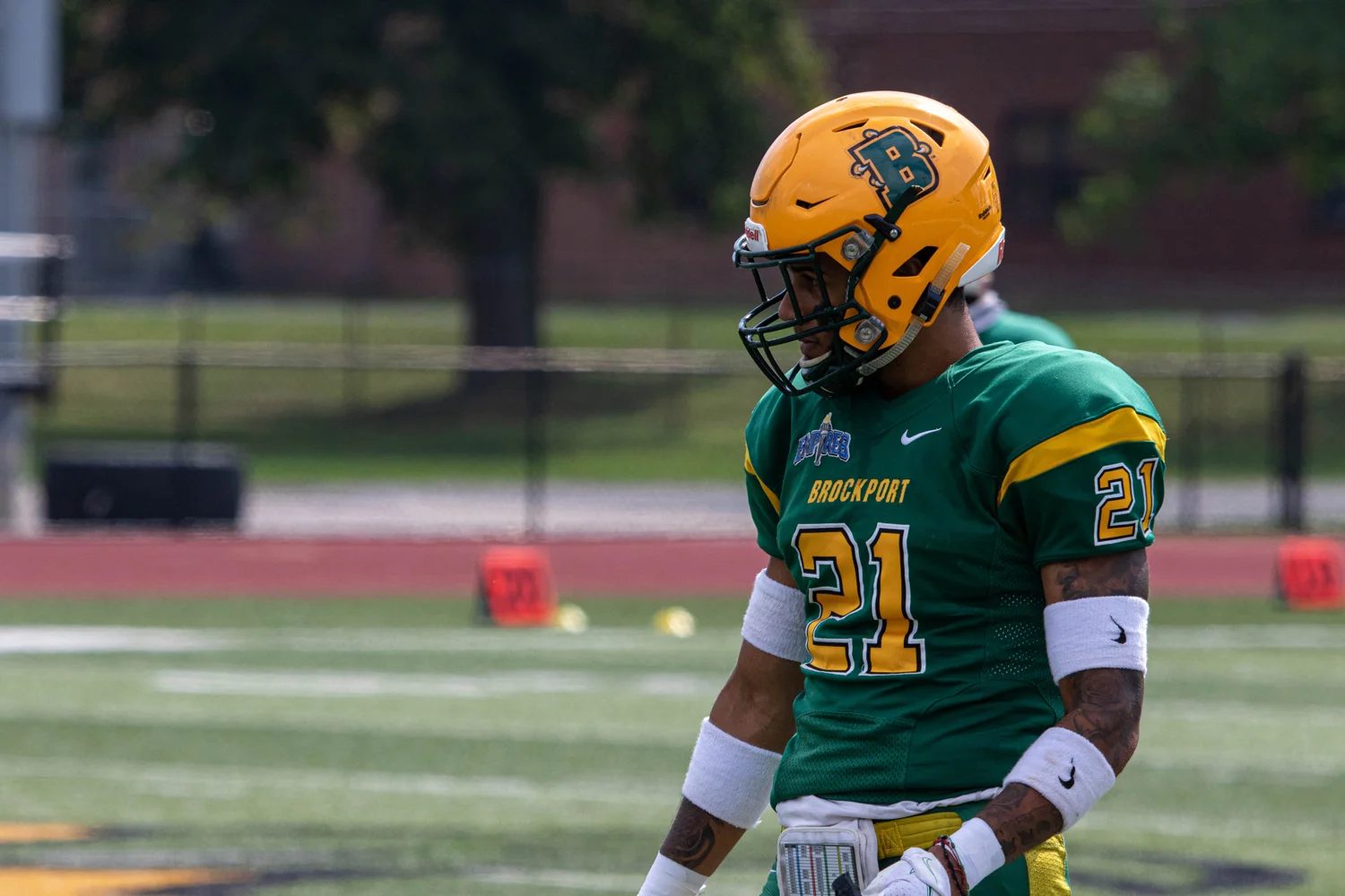 Brockport DB looking into the backfield