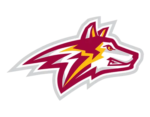 Alvernia Golden Wolves Football