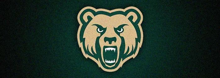 Vestal Golden Bears Football