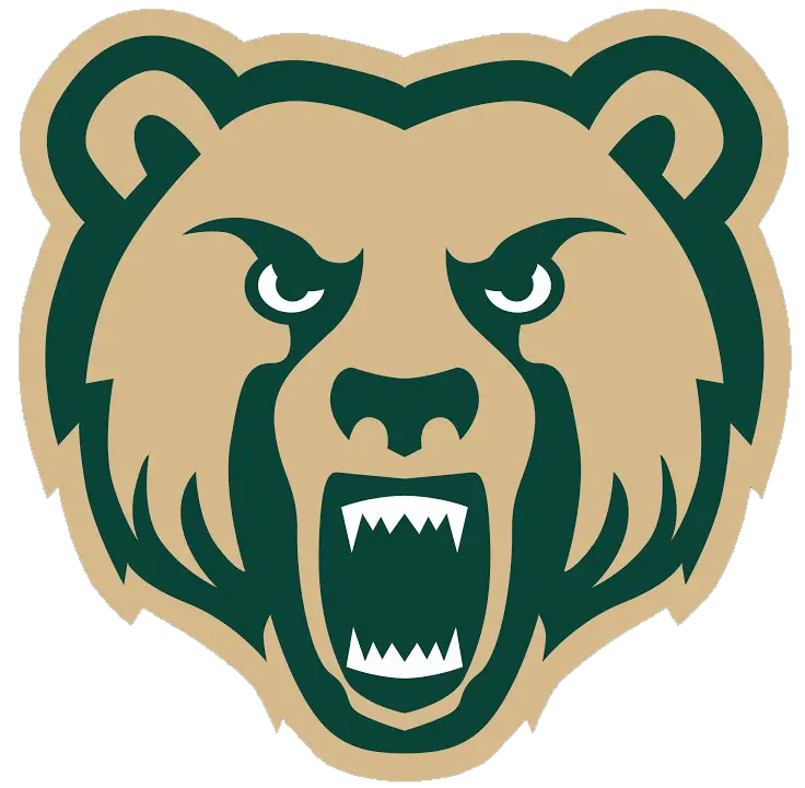 Vestal Golden Bears Football logo