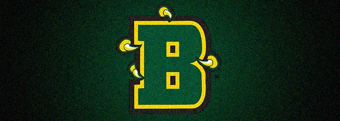 Brockport Golden Eagless hitting the field