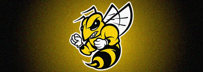 Randolph Macon Football