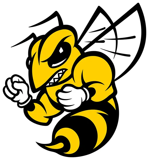 Randolph Macon Football logo