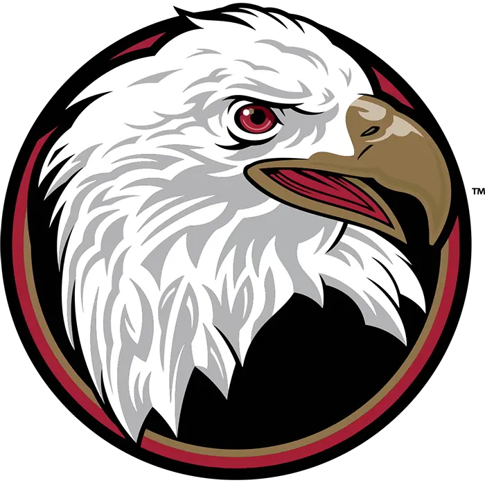 Bridewater Eagles Football