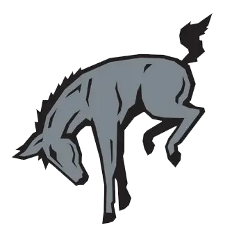 Muhlenberg Mules Football