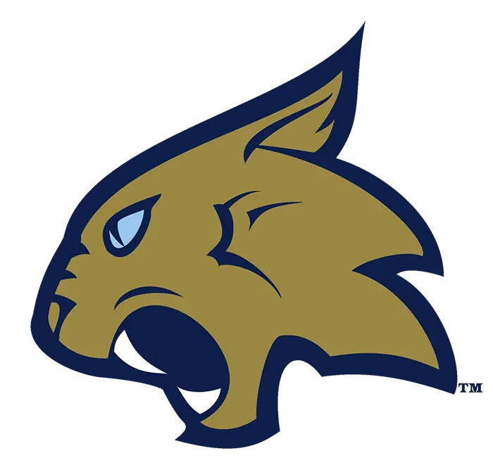 Thiel Tomcats Football