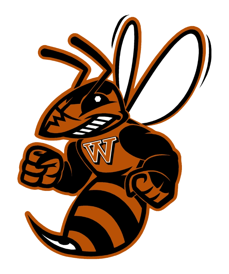 Waynesburg Yellow Jackets Football